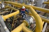 Insiden Subang Tanda Pemerintah Belum Siap Jaga Stabilitas Pasokan Gas Industri