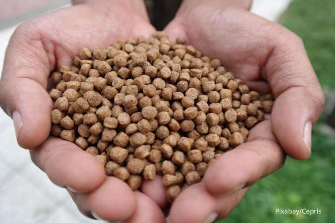 Ingin Ikan Hias di Akuarium Tetap Sehat? 5 Nutrisi Ini Harus Tercukupi! 