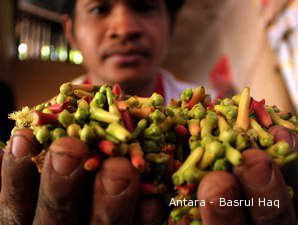 Harga Cengkeh Kian Kisut