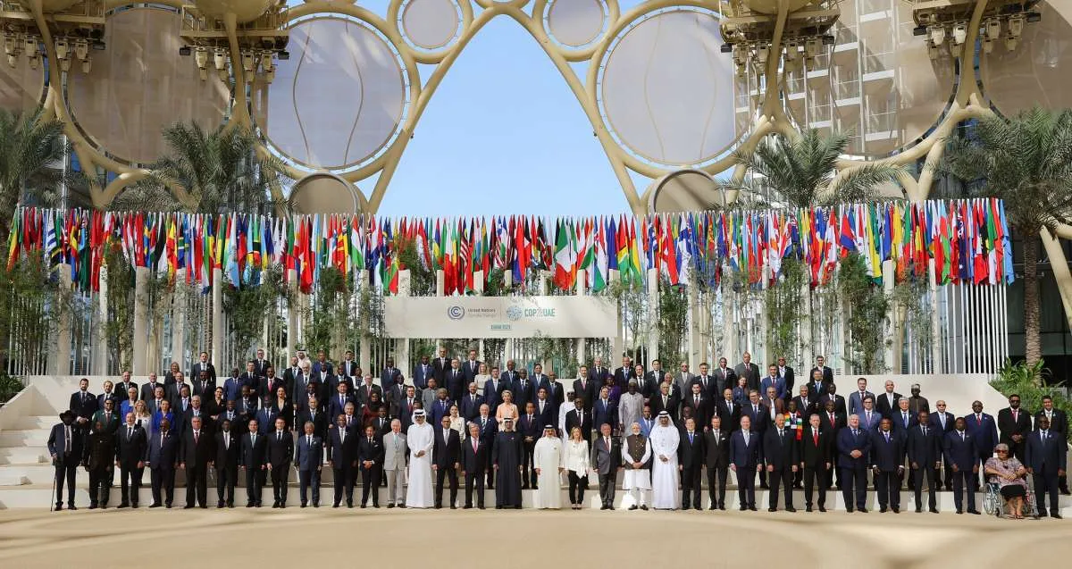 COP28 Dubai, Ini Langkah Indonesia Capai Net Carbon Sink Sektor Hutan dan Lahan