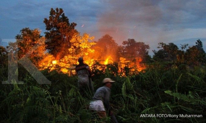 Lahan gambut seluas 5 ha di Riau terbakar lagi