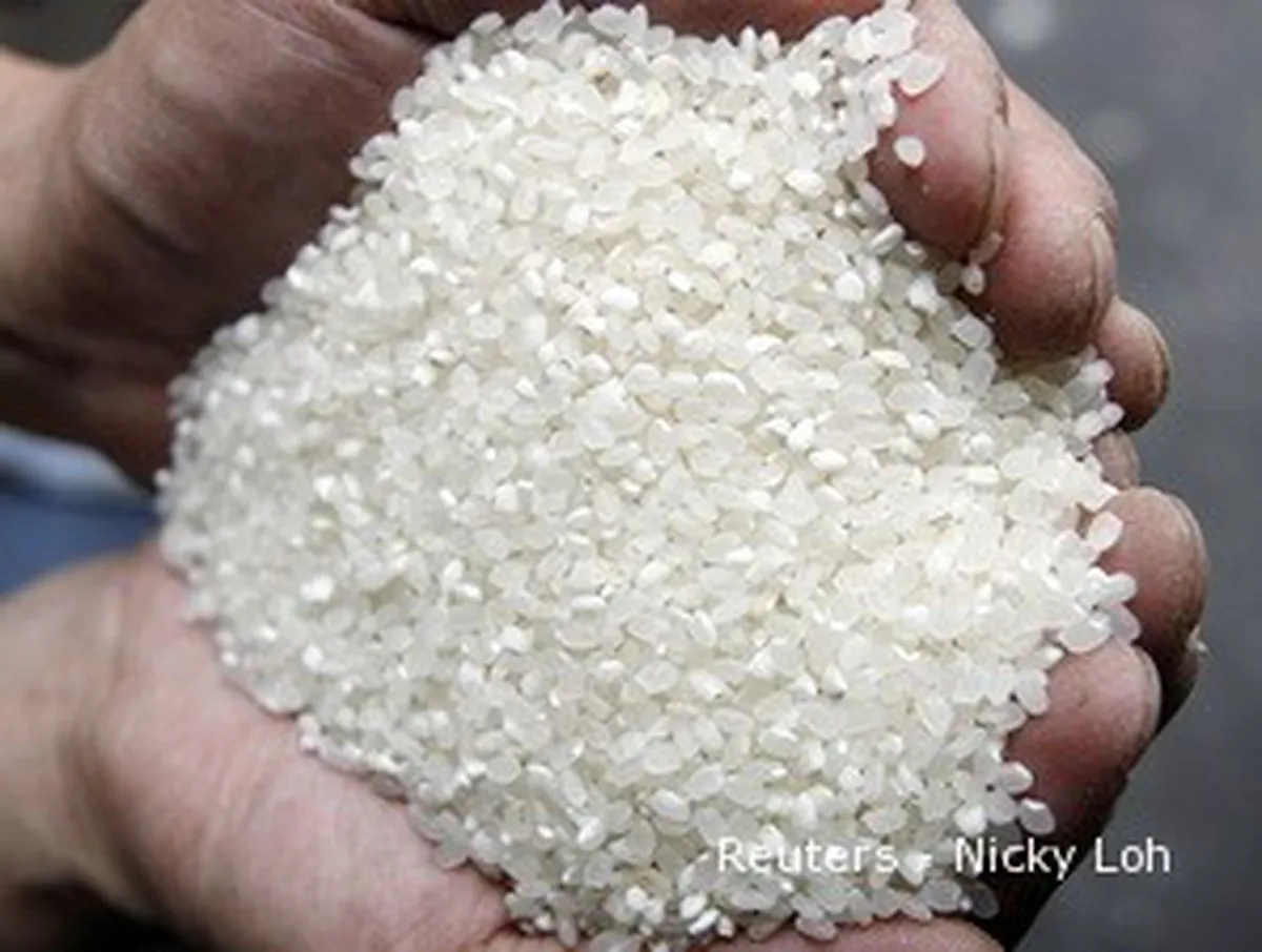 Tahun Ini, Indonesia Bisa Swasembada Pangan