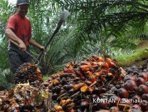 Produksi kelapa sawit tidak akan terpengaruh moratorium konversi hutan