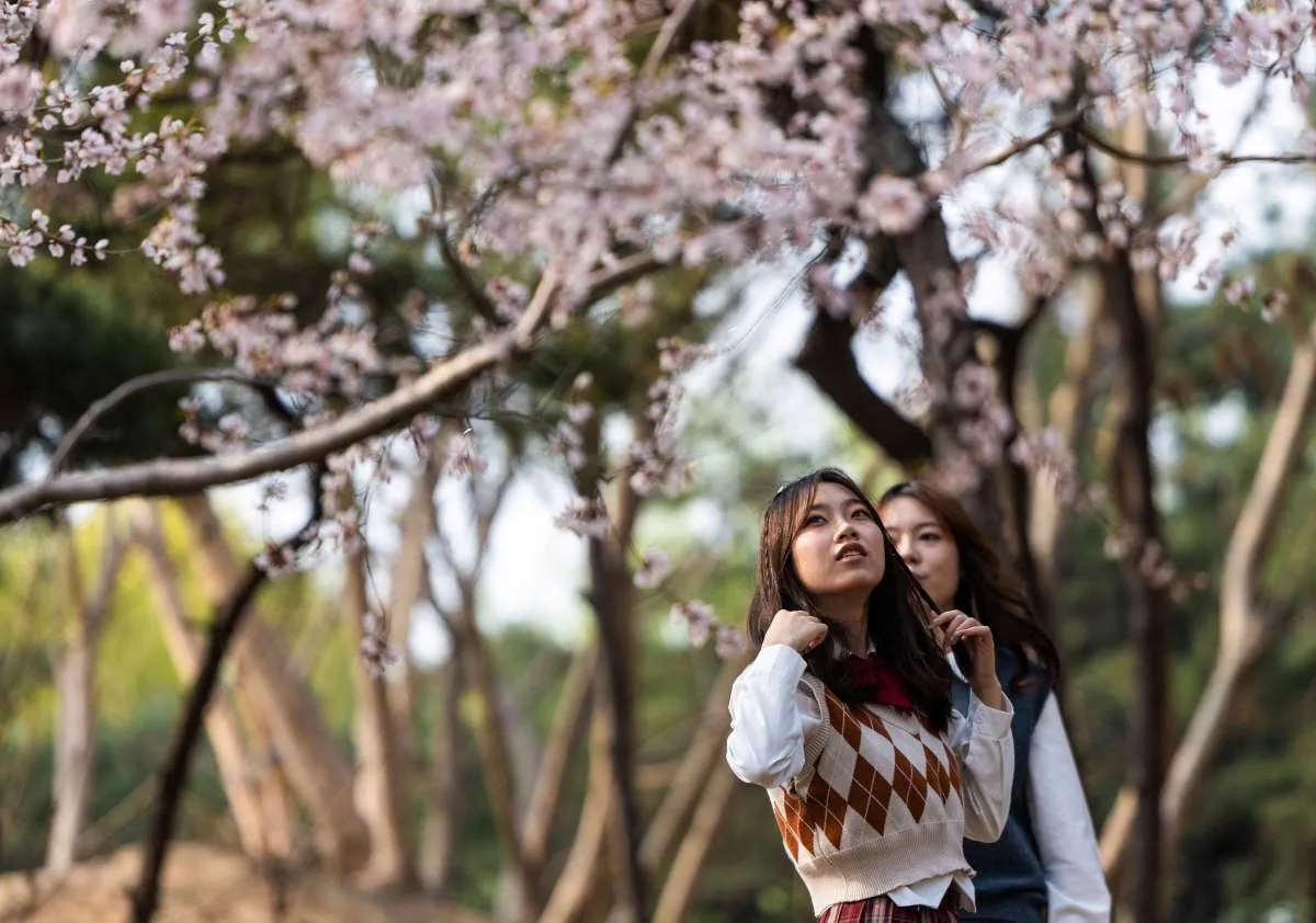Revolusi Sekolah: China Larang Ujian dan Tugas Berlebih untuk Siswa