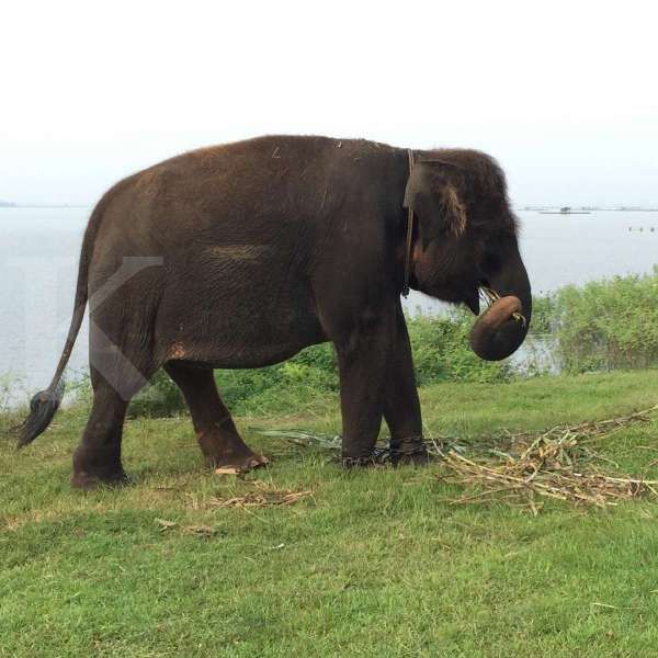 Waduk Gajah Mungkur
