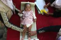 MBG Belum Optimal Turunkan Stunting