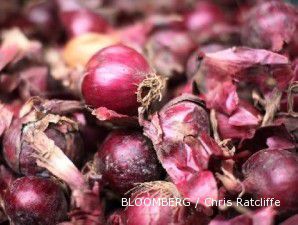 Tolak impor, petani bawang merah mengadu ke DPR