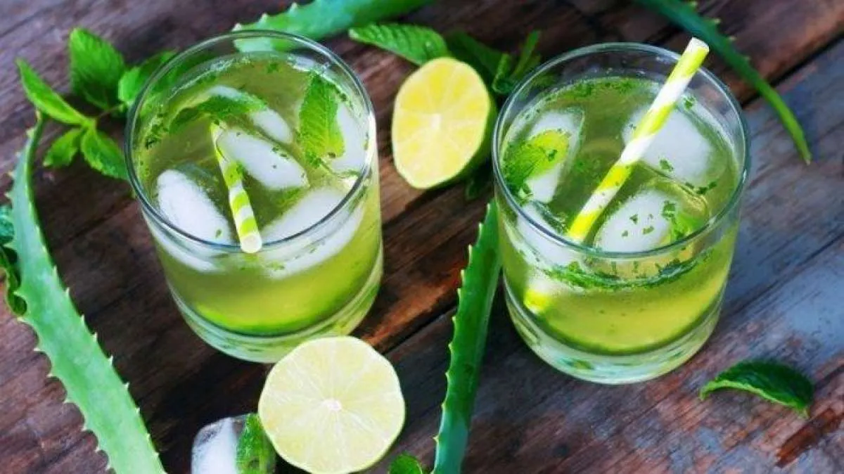 Mampukah Lidah Buaya Membuat Asam Lambung Pergi Jauh?