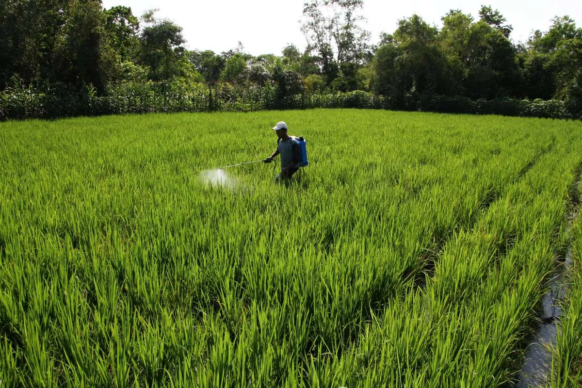 Libatkan Petani Milenial, Mentan Bakal Bangun Klaster Pertanian Modern 1,3 Juta Ha