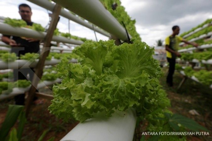 Coba Lakukan 3 Aktivitas Ini, Agar Berat Badan Anda Turun dengan Cepat