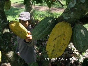 Eksportir ingin bea keluar kakao Rp 500 per kg