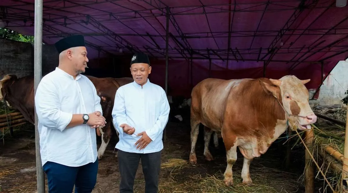 Grab & OVO Sumbang 4 Sapi Limosin & Puluhan Kambing untuk Masyarakat &Mitra Pengemudi