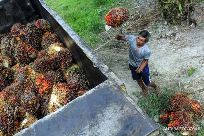 Ekspor Sawit Indonesia Terancam Penerapan UU Anti Deforestasi Uni Eropa