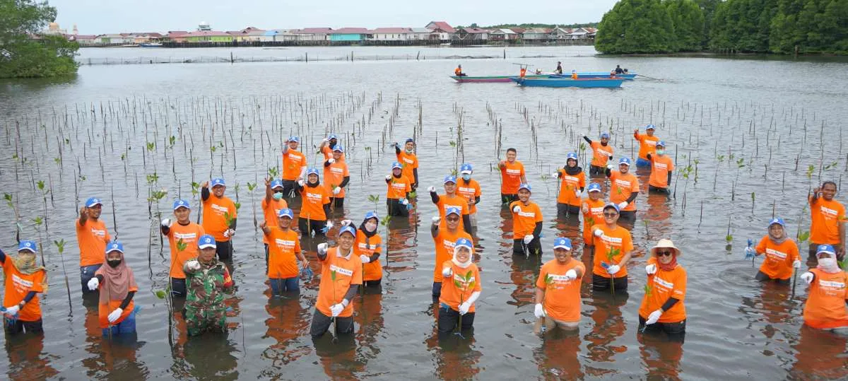 PKT Dorong Konservasi Mangrove Diimplementasikan dalam Kurikulum Merdeka 