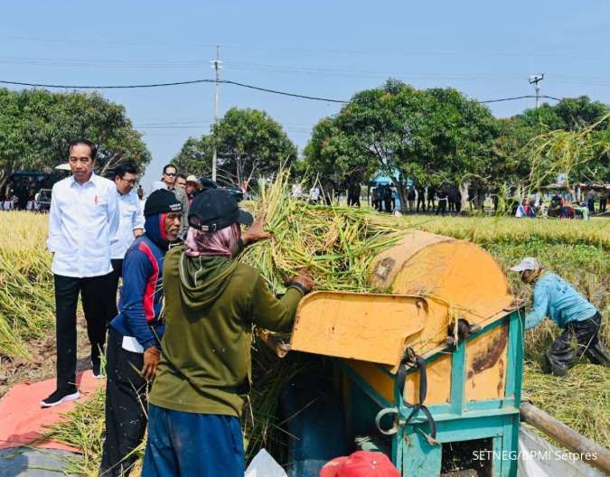 Panen Raya di Indramayu, Jokowi Pastikan Produksi Padi di Tengah El Nino Masih Baik