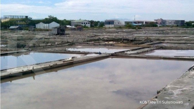 Pemerintah akan sertifikasi lahan garam 