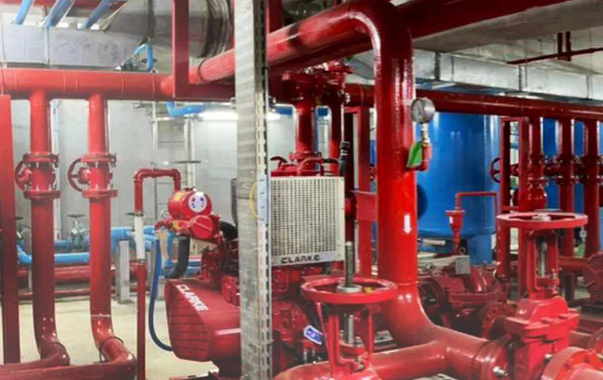 Laba Bersih Adiwarna Anugerah Abadi (NAIK) Naik Tiga Digit, Ini Penopangnya