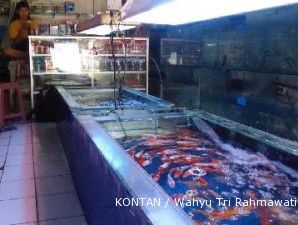 KKP targetkan produksi ikan hias 3 miliar ekor tahun ini