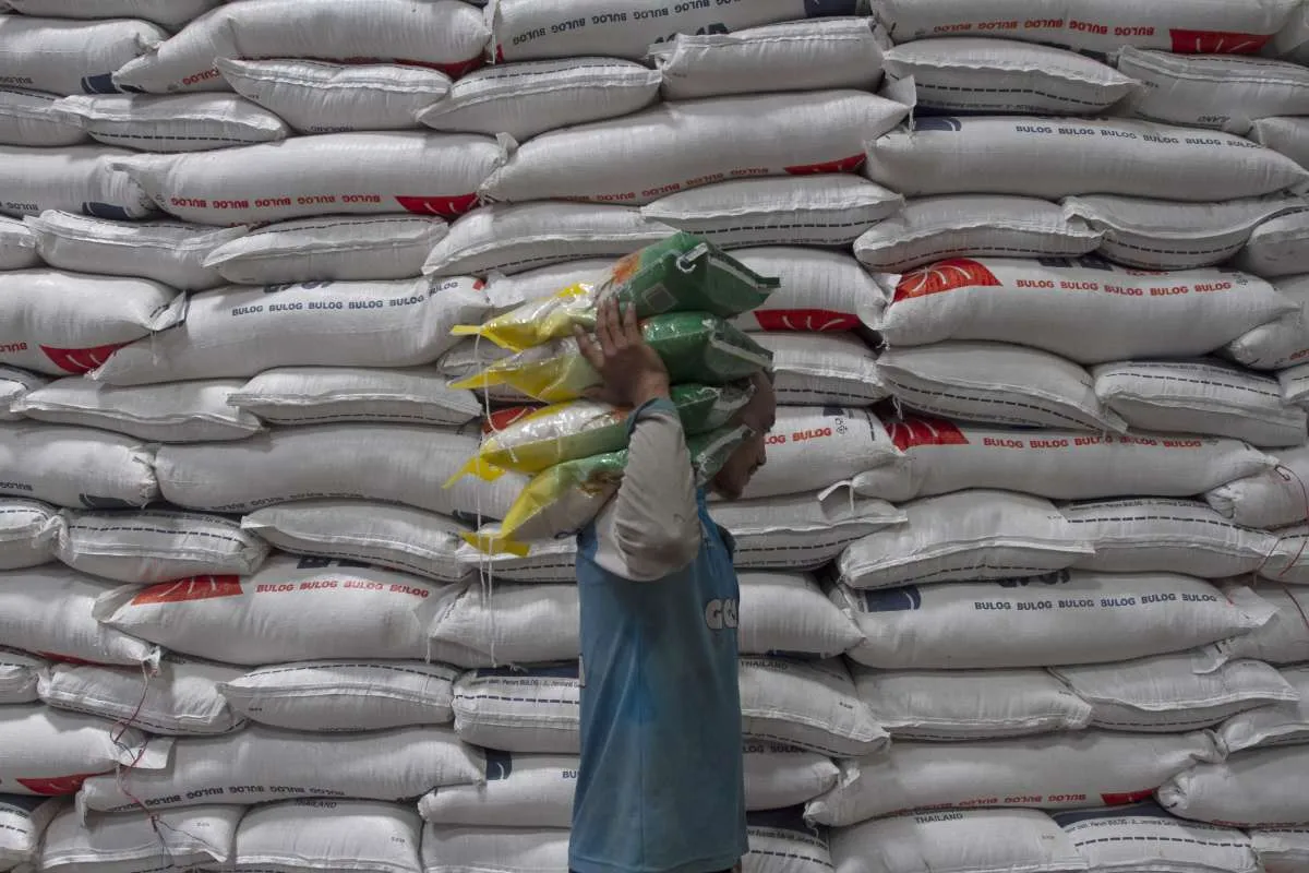 Harga Pangan di Papua, 6 November 2024: Harga Beras, Bawang Merah, & Cabai Naik