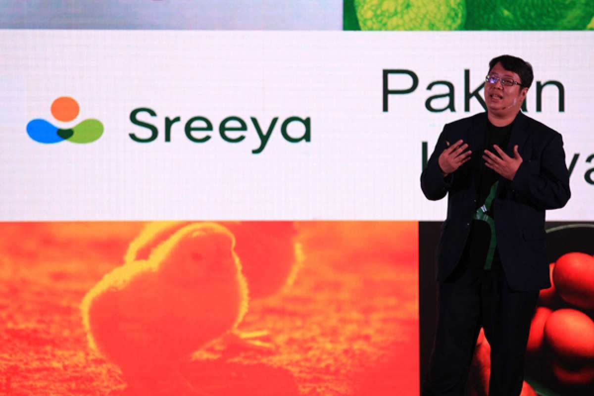 SIPD Ekspansi Pembibitan Ayam