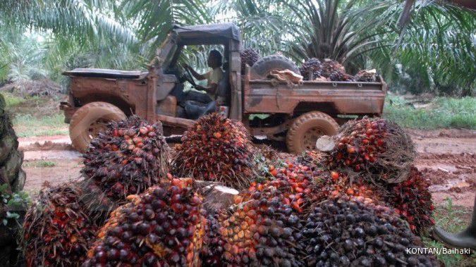 Pengusaha harap Indonesia mengurangi ketergantungan ekspor sawit ke Uni Eropa