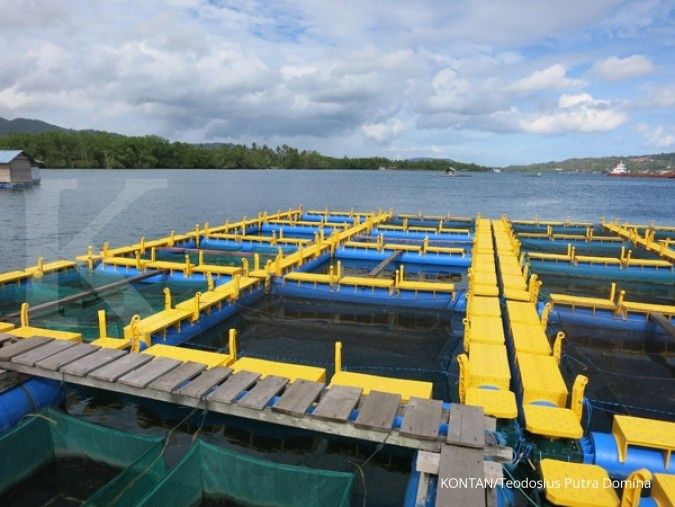 Ribuan ikan mati dan terdampar di pesisir Pantai Ambon