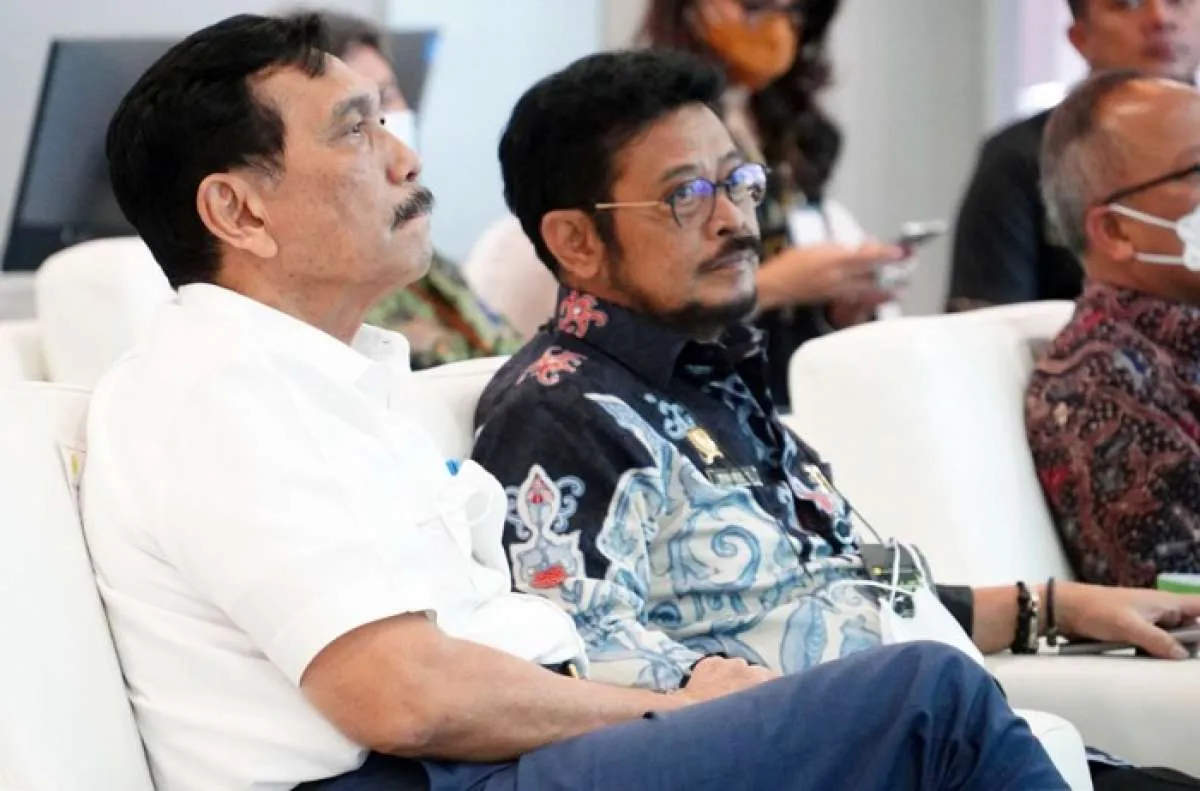Luhut Pastikan Food Estate Sumba Berhasil via Agriculture War Room Kementan
