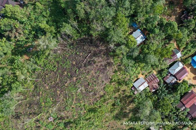 Bukan Lomba Cari Simpati tapi Mengembalikan Kerusakan Hutan