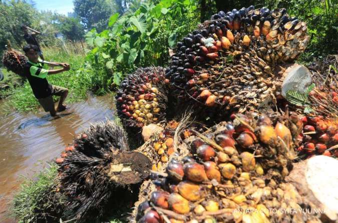 Penjualan Cisadane Sawit Raya (CSRA) Tumbuh 44,3% pada Kuartal I-2025