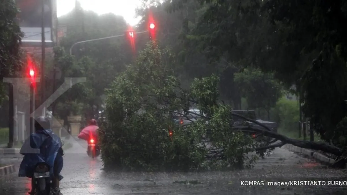 Wah, ada pohon tumbang di Jalan Alur Laut