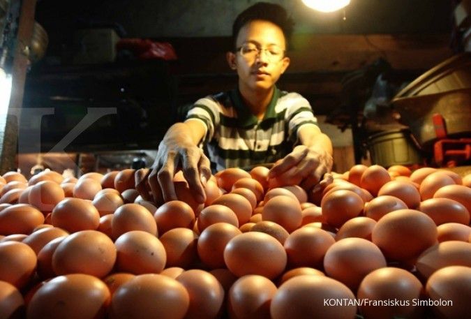 IKAPPI: Harga telur naik di awal tahun