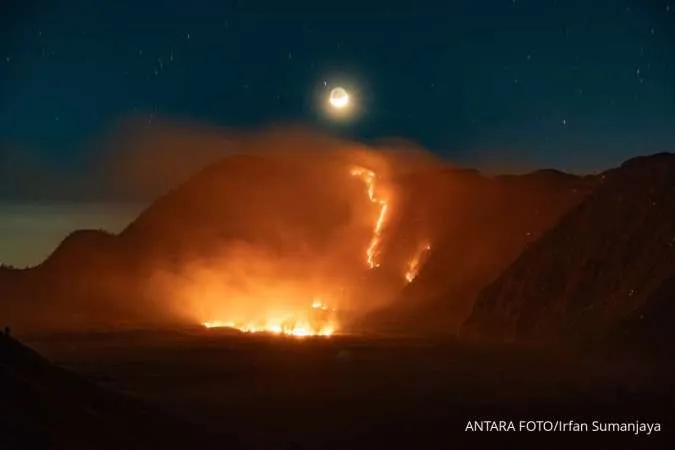 Fire Near Mount Bromo Extinguished After 550 Hectares Burnt, but New Hotspots Emerge