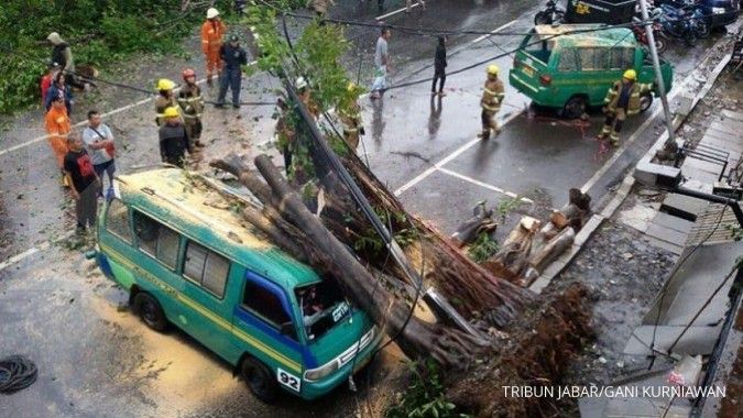 Home Ministry rejects Jakarta fund for fallen tree compensation