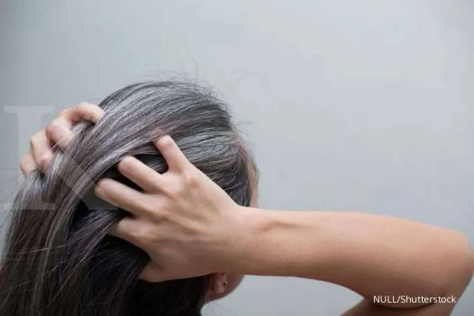 Uban Hilang Sempurna, 4 Warna Cat Rambut Ini Bikin Wajah Auto Segar
