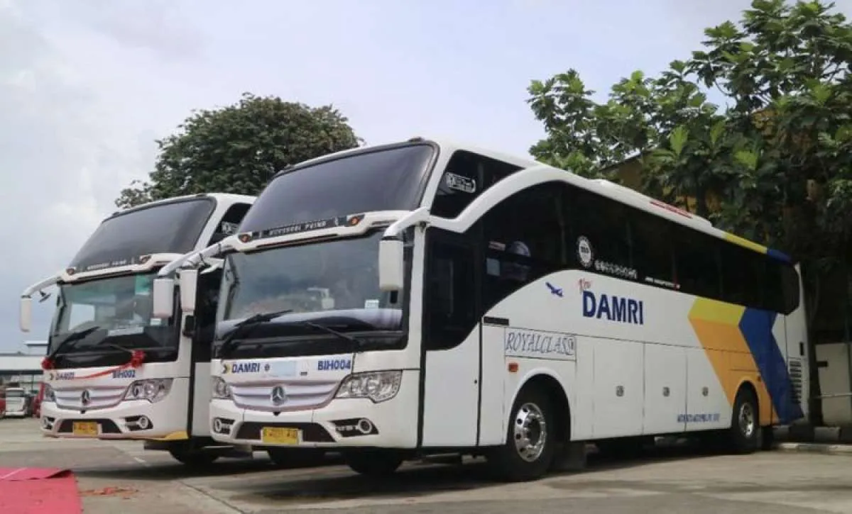 Damri Hadirkan Layanan Angkutan Perintis di Ambon Maluku