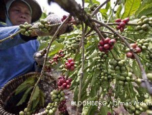 Terganggu cuaca, produksi kopi Indonesia mungkin turun hingga 25%
