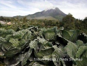 Pemerintah akan tambah waktu tanggap darurat Sinabung