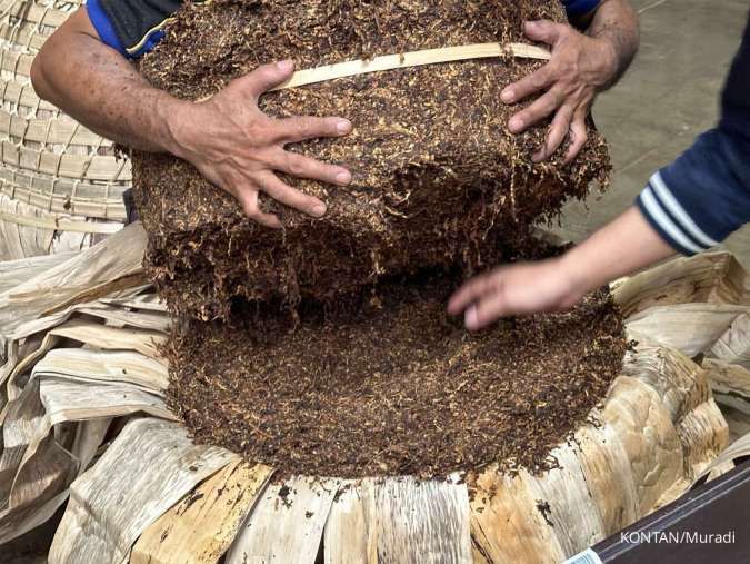 Batas Nikotin-Tar Rokok Dikaji, Pemerintah Pertimbangkan Dampak Ekonomi