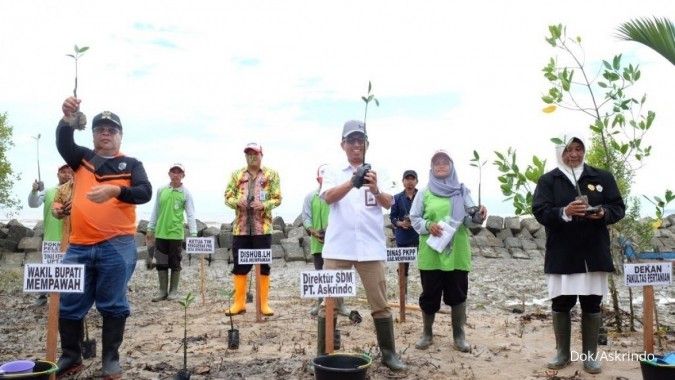Askrindo salurkan bantuan penanaman mangrove Rp 400 juta
