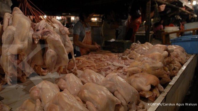 Konsumsi daging ayam naik 15.79% tahun ini