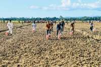 Food Estate Papua Selatan Dianggap Deforestasi, Ini Kata Hashim Djojohadikusumo