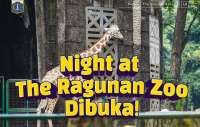 Harga Tiket Wisata Malam Taman Margasatwa Ragunan, Cek Jadwal & Kegiatannya