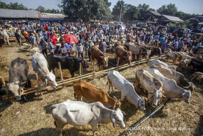 Ada momen Idul Adha, konsumen pilih tahan konsumsi untuk beli hewan ternak