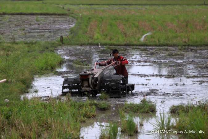 Perkuat Stok Pangan, Kementan Percepat Cetak sawah 2.000 Hektare di Papua Pegunungan