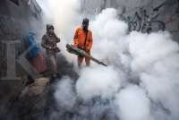 Chikungunya: Gejala, Pengobatan, dan Pencegahan