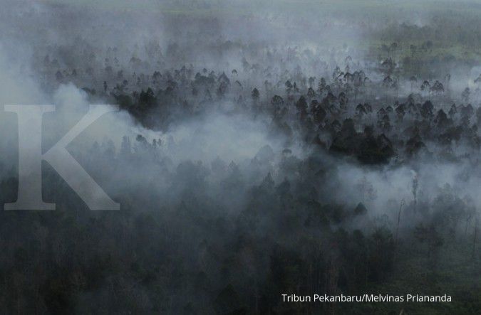 25 hektare hutan di Sawahlunto terbakar