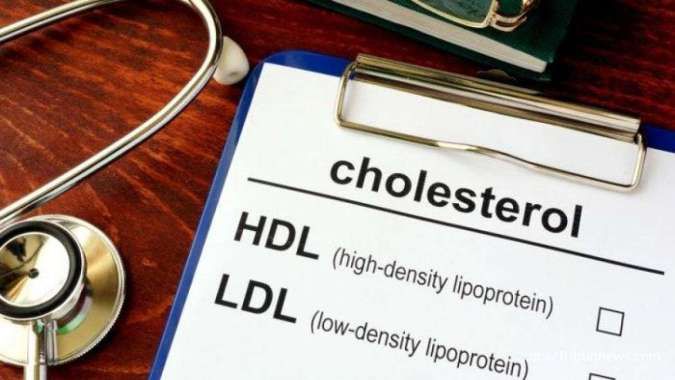 Zat Lemak dalam Darah alias Kolesterol Bisa Langsung Kabur dengan 4 Cara Alami Ini