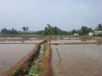 Sinergi Kementan dan BPS Wujudkan Satu Data Pertanian Kabupaten Sukabumi