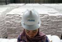 BULOG Raup Untung Rp 2,4 Triliun Hingga September, Siapkan Pabrik Karung Plastik