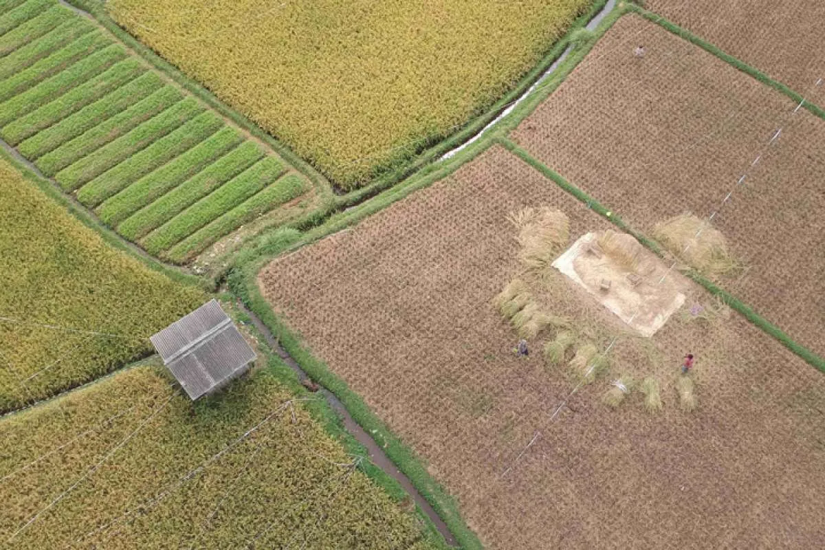 Hadapi Ketidakpatian Ekonomi Global, 2 Sektor Ini Perlu Jadi Fokus Pemerintah